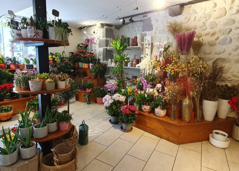 Josy fleurs