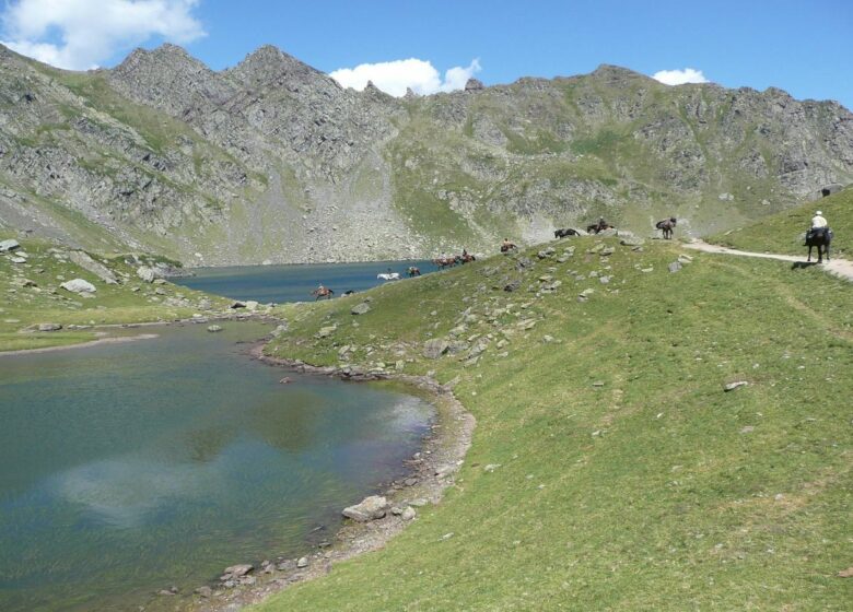 Chevauchée Pyrénéenne Les chevaux d’Ossau – Accompagnateur équestre