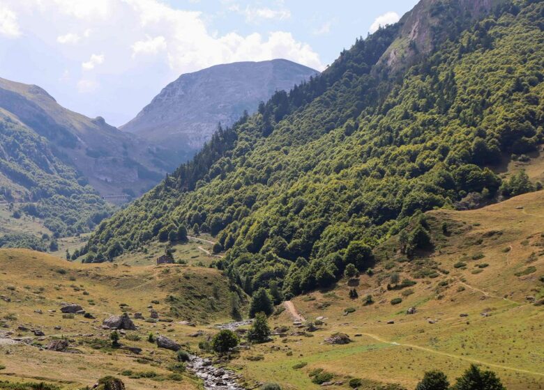 Parc National des Pyrénées