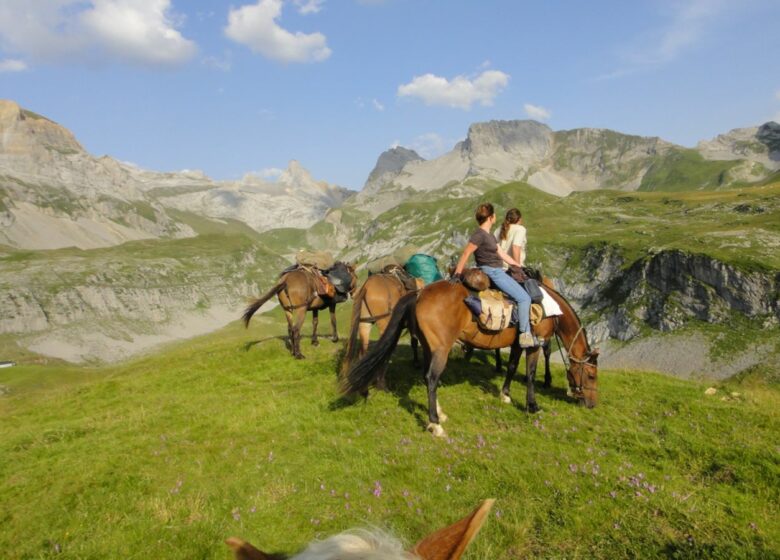 Chevauchée Pyrénéenne Les chevaux d’Ossau – Accompagnateur équestre