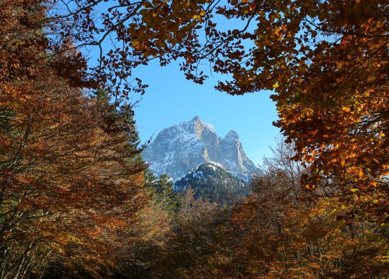 Petites Vacances parfaites à la montagne