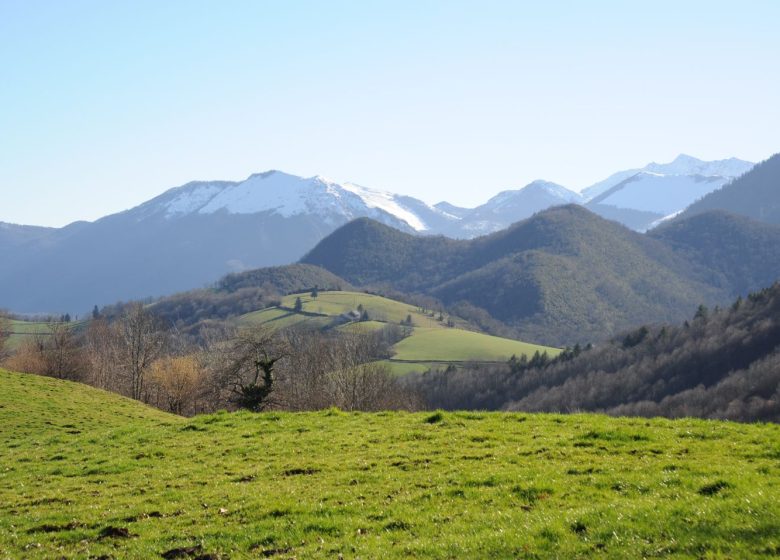 Refuge Out of the City – Le Gîte