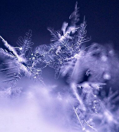 Escape Game – Usine à neige