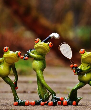 Eveil sportif par équipe