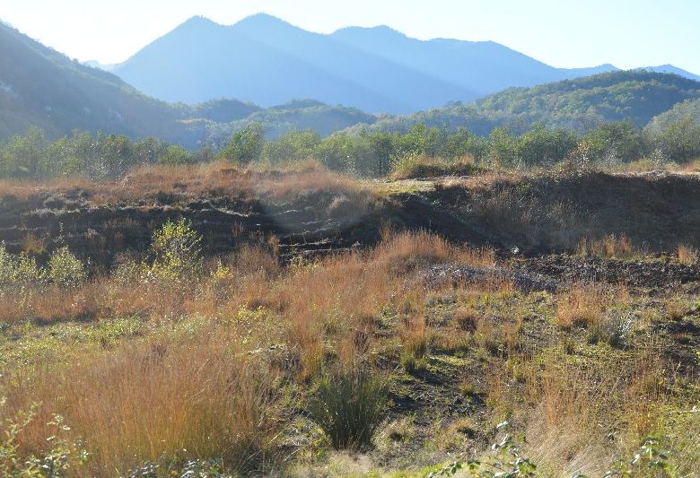 Sentier de la tourbière de Pédestarrès